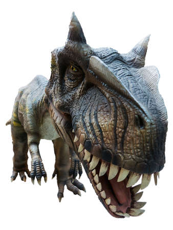 T-Rex on white, roaring.の写真素材