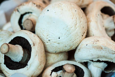 Mushroom Backdrop at street marketの写真素材