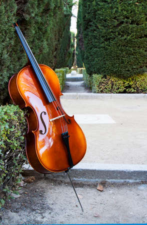 string instruments at sabatini garderns,royal palace, madrid,spainの写真素材