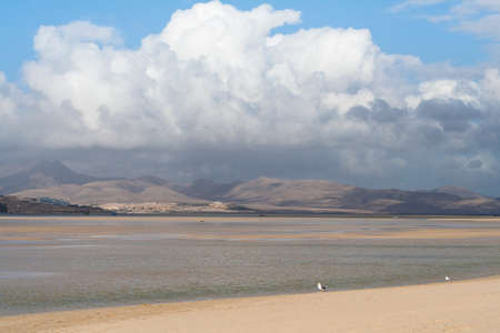 Sotavento Beach, Fuerteventura,Spain