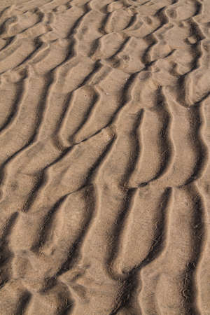 Ripples in the sand at Playa Barca, Fuerteventura 
