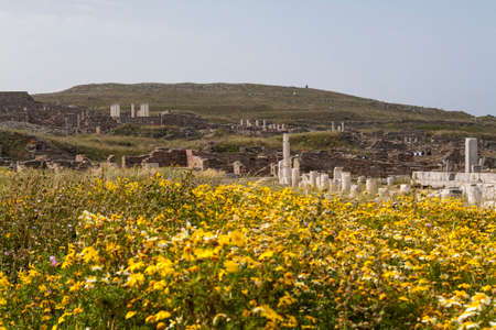 ancient columns in the archeologic site of Delos, near Mykonos in Greece.の写真素材