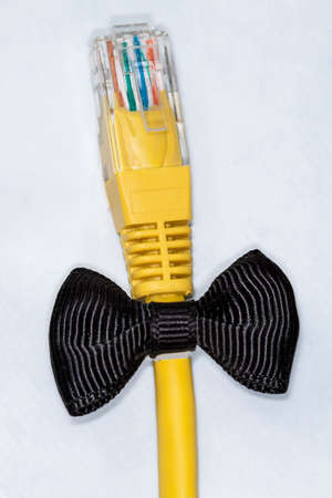 Ethernet plug with ribbon isolated on whiteの写真素材