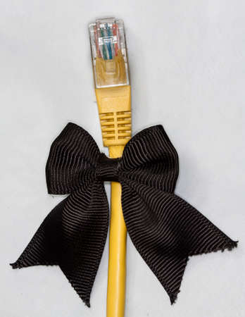 Ethernet plug with ribbon isolated on whiteの写真素材