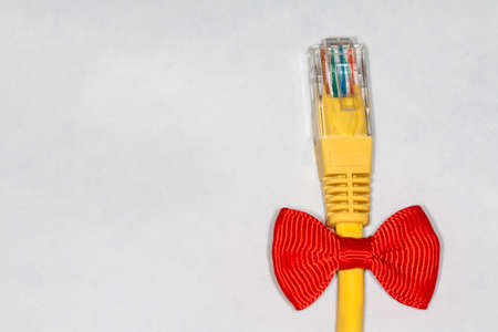 Ethernet plug with ribbon isolated on whiteの写真素材