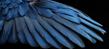 Elegant abstract wallpaper featuring a stunning background of dark black feathersの素材