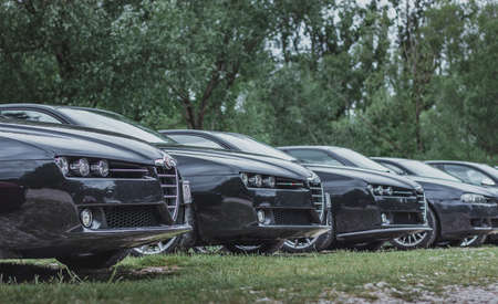Three black Alfa Romeo 159s lined up on a grass park field. Sunny day in Croatia, italian car enthusiasts meeting for an event in natureのeditorial素材