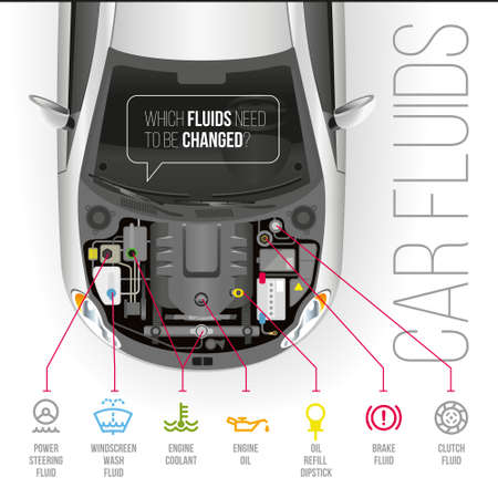 Which fluids need to be changed under the hood of the car?のイラスト素材