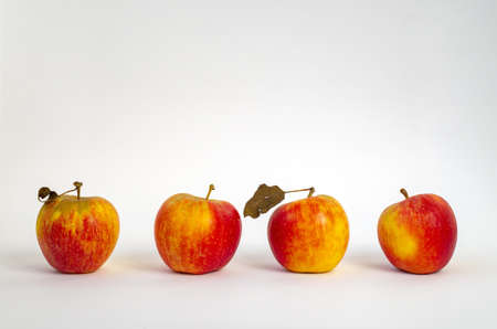 Four fresh juicy apples, two apples with a small dried old leafs, white background