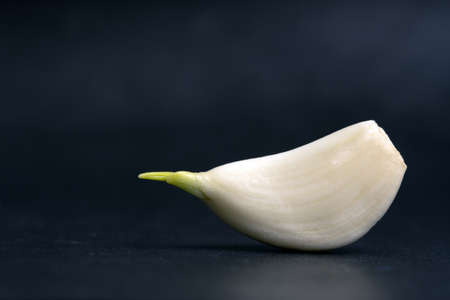 Garlic clove on dark blue background, closeupの写真素材