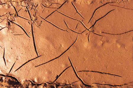 Wet clay soil with cracks, abstract background