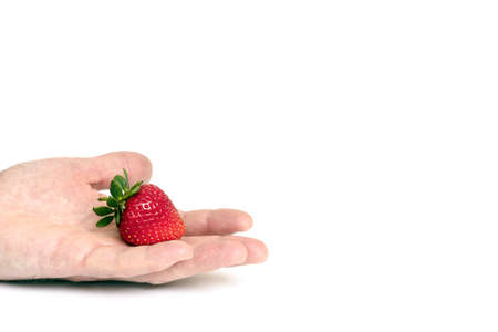 organic strawberry in male hand isolated on white.の写真素材