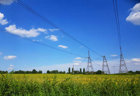 High voltage lines in a agricultural landscape on a summer day with white clouds in the clear blue...
