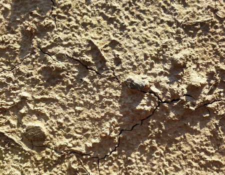 Dry soil view from top, full screen image.