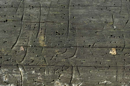 Old wooden board for background, full screen image.
