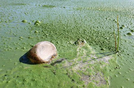 Plastic garbage in dirty water, selective focus.の写真素材