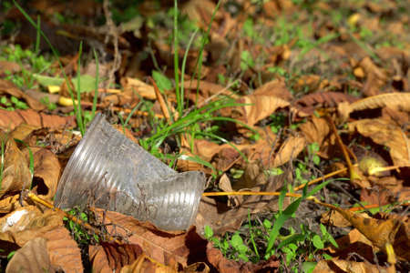 used plastic cup on the ground, litter in the forest on an autumn day on blurred background of dry...