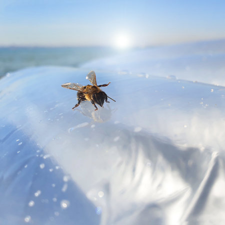 bee or fly on a plastic bag selective focus blurred background.