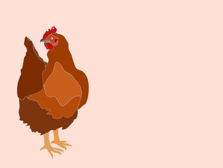 big brown domestic chiken vector image illustration.のイラスト素材