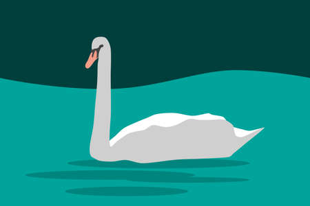 swan on blue water, vector illustration for greeting card.のイラスト素材