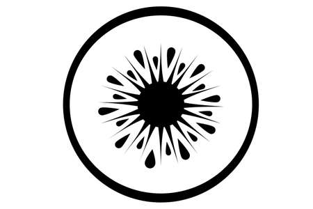 monochrome kiwi fruit slice isolated on a white background.のイラスト素材