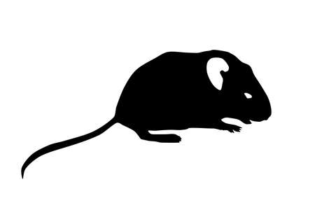 Mouse animal icon isolated on a white background.のイラスト素材