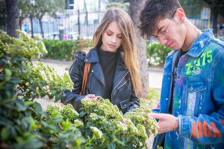 Outdoor, a young italian man and woman are couple in spring day in the park look over the hedge at the park flowers whit three and green whit flowerの写真素材