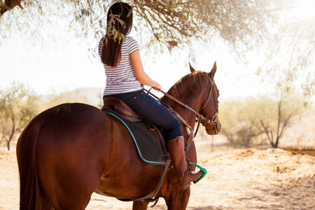 Point of view of a young woman riding a horse and looking forward on a sunny dayの写真素材