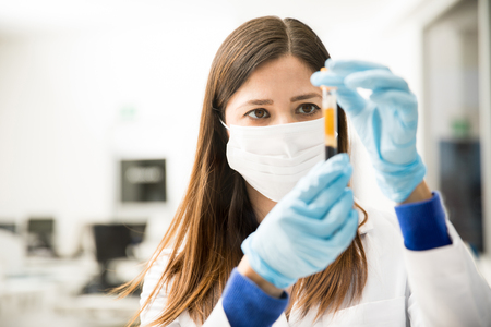 Gorgeous Hispanic female chemist looking at a blood test tube while doing some tests in a laboratoryの写真素材