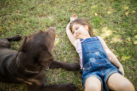 Thoughtful small girl child relaxing on grass looking at chocolate labrador pet dog.の写真素材