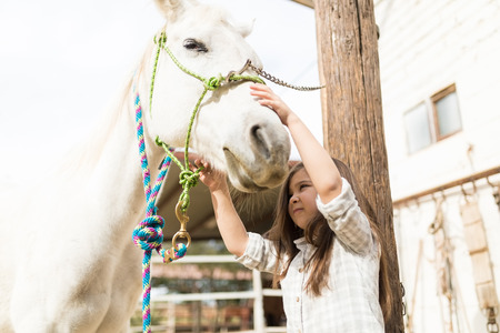 Cute little girl pampering white horse in stableの写真素材