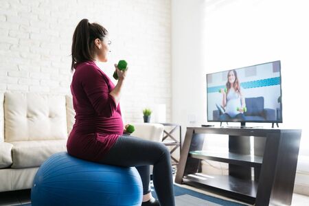 Side view of pretty expectant woman learning workout exercises while watching television in living...