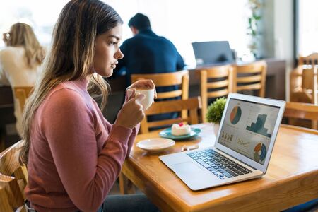 Serious businesswoman looking at graphs on laptop while having coffee in cafeの写真素材