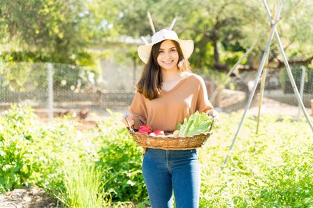 Smiling Hispanic farmer with organic vegetables in basket standing at farm on sunny dayの写真素材