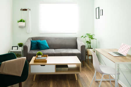 Modern and stylish empty living room home with a gray sofa and a beautiful green chair with a blanket. Contemporary work desk with a laptop and a table on a wooden floorの写真素材