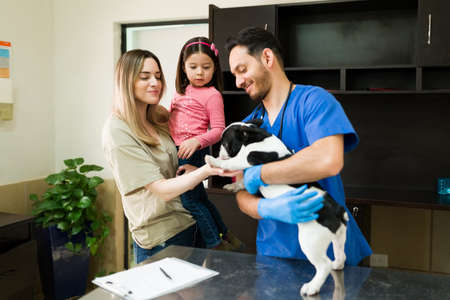 Caucasian mom and little daughter taking their beautiful boston terrier to the vet. Happy attractive...
