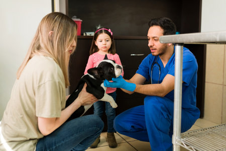 Caucasian mom and little daughter taking her sick boston terrier pet to the vet clinic. Professional veterinarian receiving a dog to do a medical examの写真素材