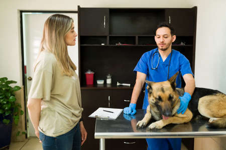 Handsome professional veterinarian giving bad news about the health of her sick old german shepherd dog. Woman owner listening to a male vet at the animal clinicの写真素材