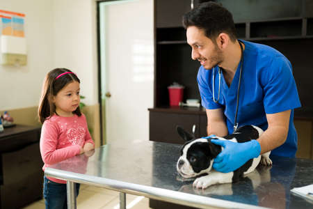 Happy professional vet doing a medical exam on a boston terrier while talking to a little girl at the animal clinic. Cute girl waiting at the vet to take her puppy homeの写真素材