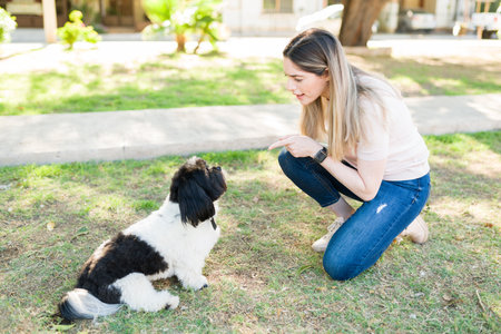 Angry dog owner scolding her shih tzu puppy because it ran away at the park. Attractive woman talking to her dog about its bad behaviorの写真素材
