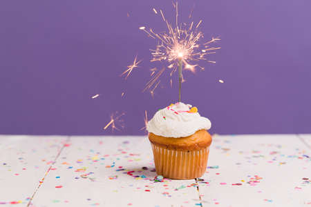 Let's celebrate! Tasty cupcake with sprinkles and a lit sparkler for a birthday partyの写真素材