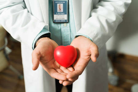Close up of the hands of a caucasian cardiologist specialist holding a red heart heart. Promoting prevention of heart problemsの写真素材