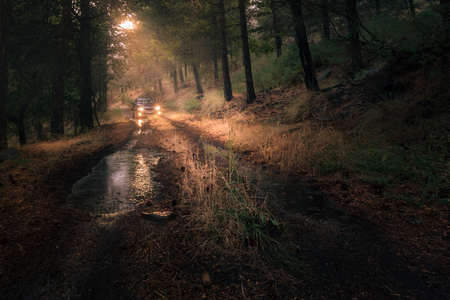 Car driving into a forest after heavy rainの写真素材