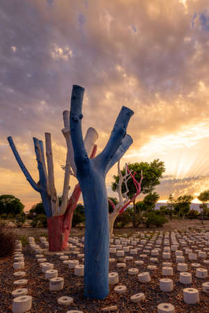Sunset in a park with wooden logs of different colorsの写真素材