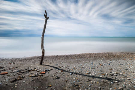 After walking through the mouth of the river and only seeing rubble that same river drags and end at the mouth, stumble with this curious trunk of tree well attached to the earth, I prepared to make a long day exposure taking advantage of the dense clouds of a day of rain and the diagonal of the shadow that this trunk produced on the sand.の写真素材