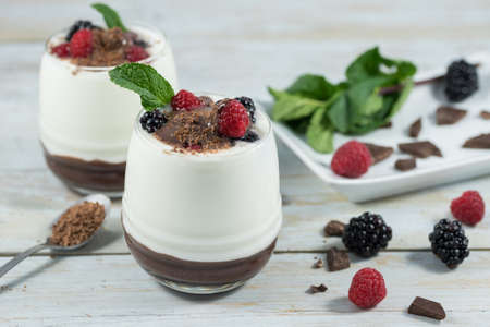 Delicious dessert of chocolate yogurt with blackberries and raspberriesの写真素材