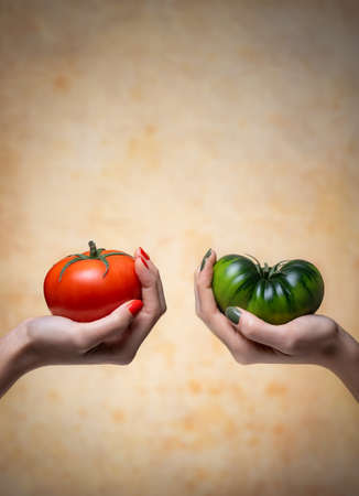 Advertising photo composed of two hands holding a red tomato and a green tomatoの写真素材