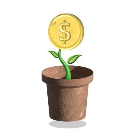 Gold dollar plant in pot isolated on white background. 3D illustrationのイラスト素材