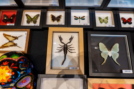 Exhibits in Vienna International Art Fair.のeditorial素材