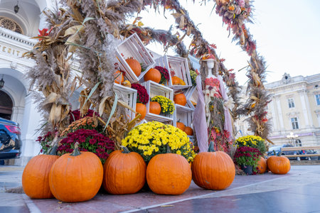 Exhibition of pumpkins in Moscow.の写真素材